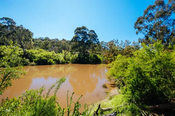 Yarra Trails in Melbourne Australië — Stockfoto