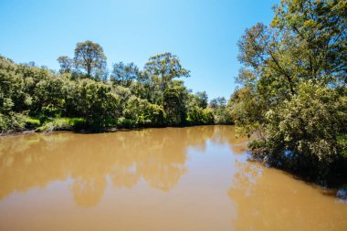 Melbourne Avustralya 'da Lofty Dağı Yürüyüşü