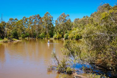 Melbourne Avustralya 'da Lofty Dağı Yürüyüşü