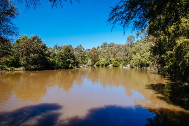 Melbourne Avustralya 'da Lofty Dağı Yürüyüşü