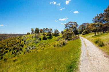 Melbourne Avustralya 'da Lofty Dağı Yürüyüşü