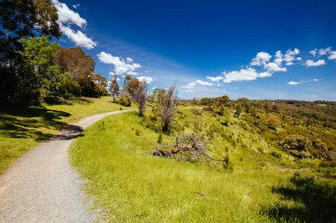 Melbourne Avustralya 'da Lofty Dağı Yürüyüşü