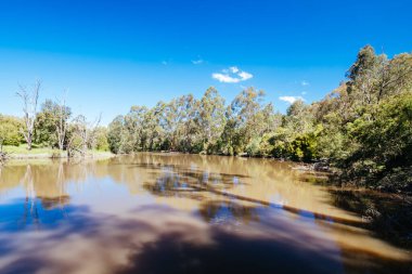 Melbourne Avustralya 'da Lofty Dağı Yürüyüşü