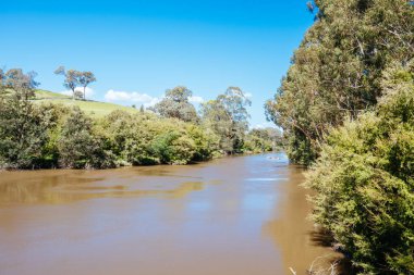 Melbourne Avustralya 'da Lofty Dağı Yürüyüşü