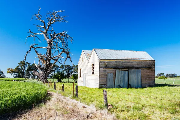 Venkovská krajina ve Victoria Australia — Stock fotografie