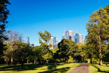 Melbourne Avustralya 'daki Fitzroy Bahçeleri