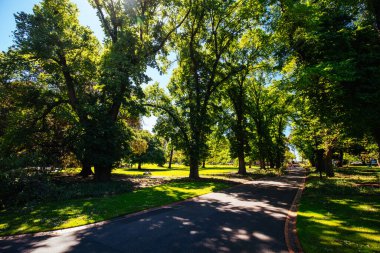 Melbourne Avustralya 'daki Fitzroy Bahçeleri