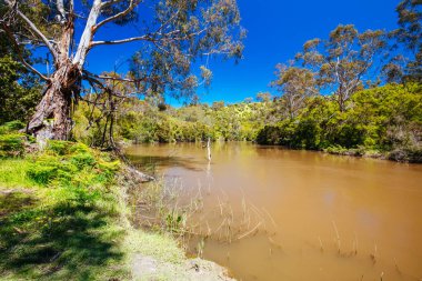 Melbourne Avustralya 'da Lofty Dağı Yürüyüşü