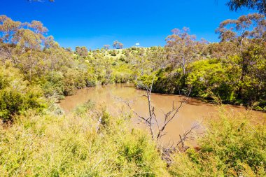 Melbourne Avustralya 'da Lofty Dağı Yürüyüşü