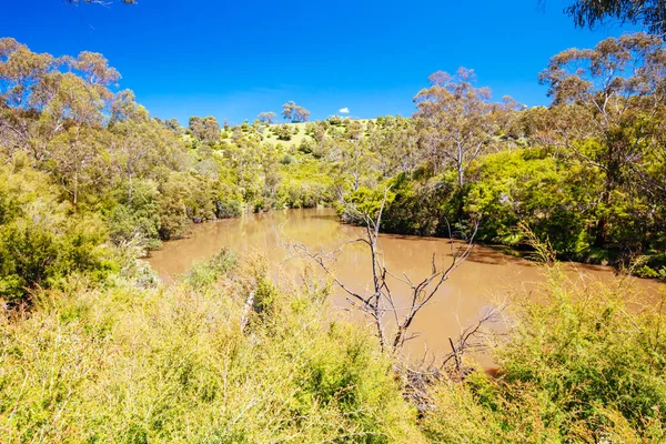 Melbourne Avustralya 'da Lofty Dağı Yürüyüşü