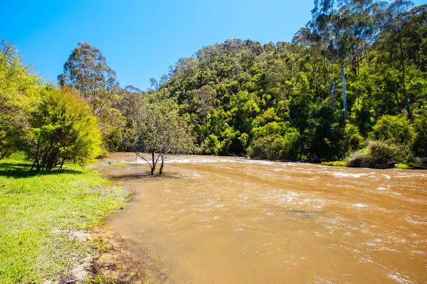 Melbourne Avustralya 'da Lofty Dağı Yürüyüşü