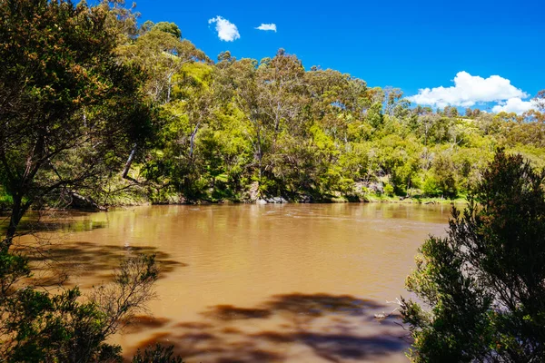 Mount Lofty Circuit Walk in Melbourne Australia — Stock Photo, Image