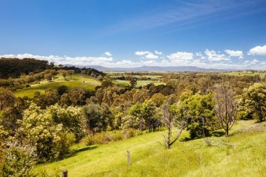 Melbourne Avustralya 'da Lofty Dağı Yürüyüşü