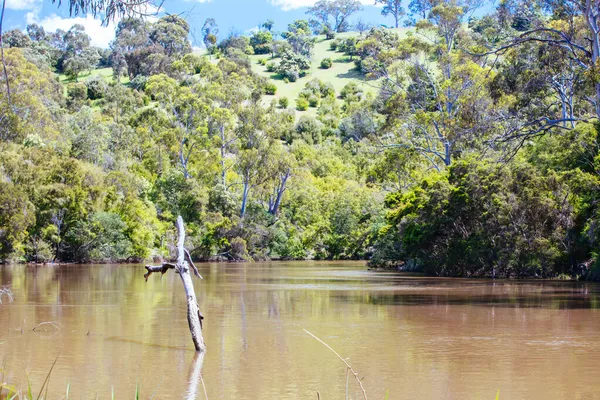 Mount Lofty Circuit Walk in Melbourne Australië — Stockfoto