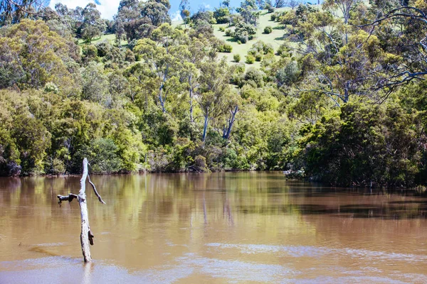 Mount Lofty Circuit Walk in Melbourne Australië — Stockfoto