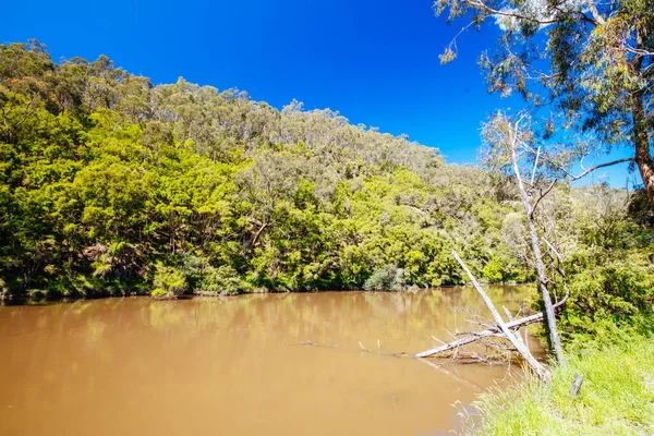 Mount Lofty Circuit Walk in Melbourne Australië — Stockfoto