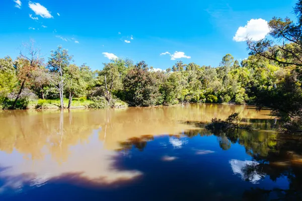 Mount Lofty Circuit Walk in Melbourne Australië — Stockfoto