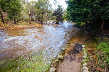 Warburton Avustralya 'da Yarra Nehri Manzarası