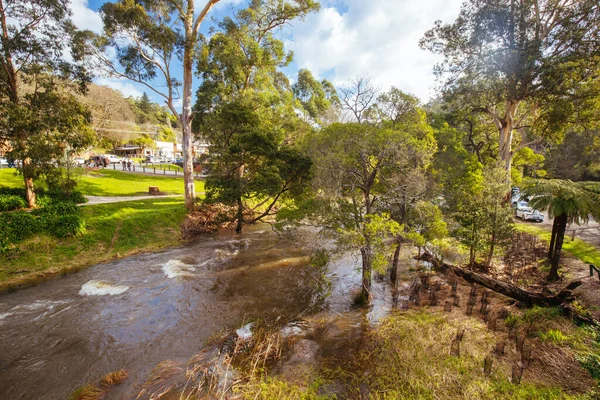 Yarra River View in Warburton Australië — Stockfoto