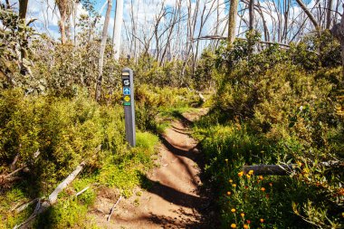 Yaz aylarında Buller Dağı Yürüyüşü ve Bisiklet Yolları
