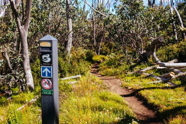 Yaz aylarında Buller Dağı Yürüyüşü ve Bisiklet Yolları