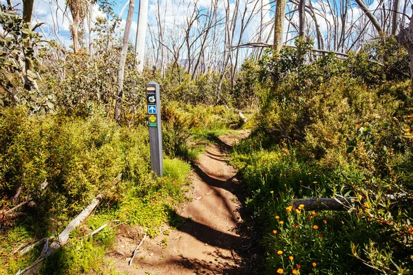 Yaz aylarında Buller Dağı Yürüyüşü ve Bisiklet Yolları