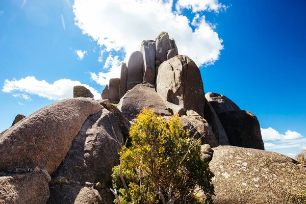 Mt Buffalo Cathedral Rock View в Австралії — стокове фото