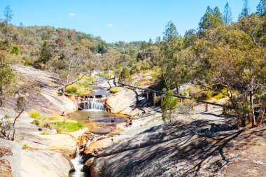 Avustralya 'da Beechworth Gorge Yürüyüşü