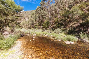 Melbourne Avustralya 'da Lerderderg Gorge Pist Yürüyüşü