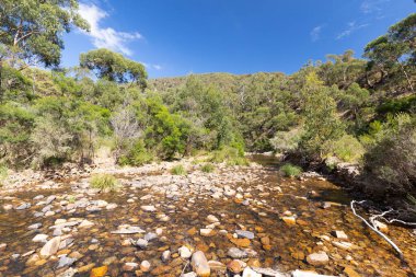 Melbourne Avustralya 'da Lerderderg Gorge Pist Yürüyüşü