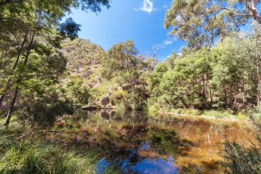 Melbourne Avustralya 'da Lerderderg Gorge Pist Yürüyüşü
