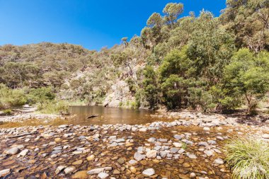 Melbourne Avustralya 'da Lerderderg Gorge Pist Yürüyüşü