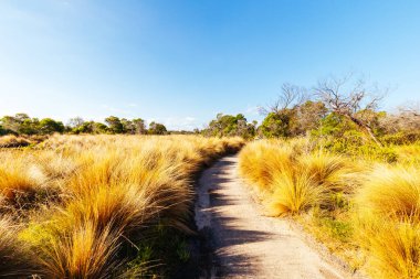 Avustralya 'daki Edwards Point Vahşi Yaşam Koruma Alanı