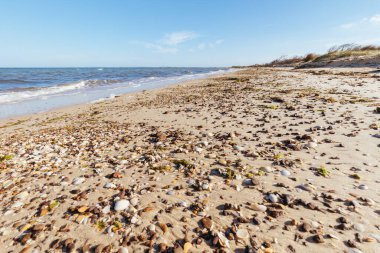 Avustralya 'daki Edwards Point Vahşi Yaşam Koruma Alanı