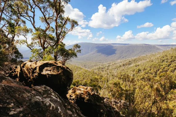 Sugarloaf Peak Hike cerca de Marysville en Australia — Foto de Stock
