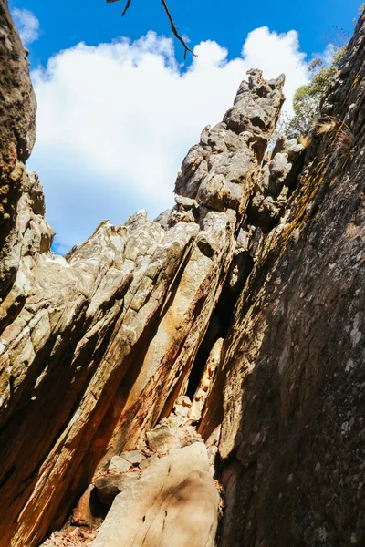 Sugarloaf Peak Hike cerca de Marysville en Australia — Foto de Stock