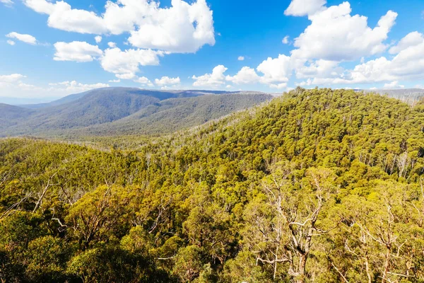 Sugarloaf Peak Hike nära Marysville i Australien — Stockfoto