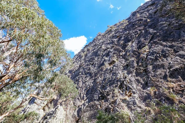 Sugarloaf Peak Hike κοντά στο Marysville στην Αυστραλία — Φωτογραφία Αρχείου