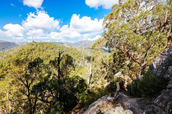 Sugarloaf Peak Hike vicino Marysville in Australia — Foto Stock