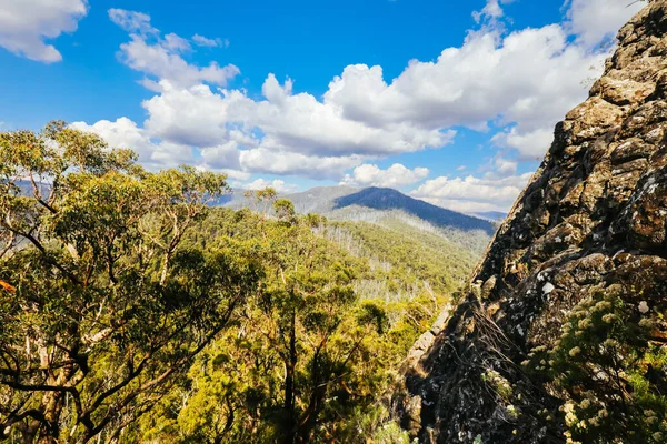 Sugarloaf Peak Hike u Marysville v Austrálii — Stock fotografie