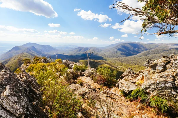 Sugarloaf Peak Hike vicino Marysville in Australia — Foto Stock
