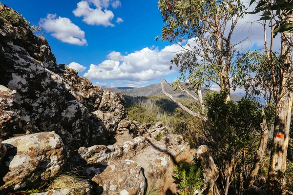 Sugarloaf Peak Hike vicino Marysville in Australia — Foto Stock