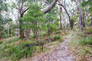 Avustralya 'da İki Körfez Yürüyüş Pisti