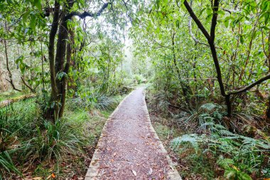 Avustralya 'da İki Körfez Yürüyüş Pisti