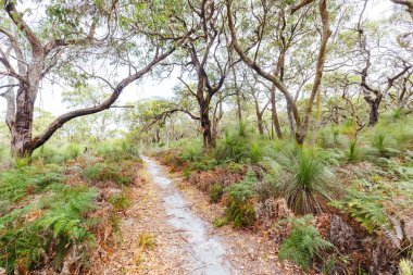 Avustralya 'da İki Körfez Yürüyüş Pisti