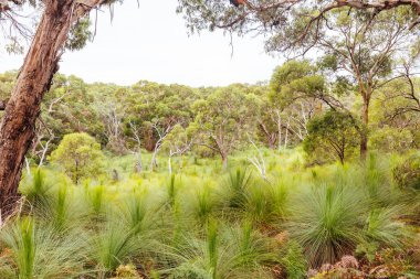 Avustralya 'da İki Körfez Yürüyüş Pisti