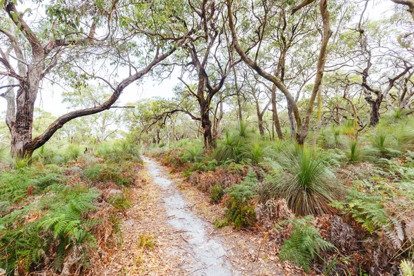 Avustralya 'da İki Körfez Yürüyüş Pisti