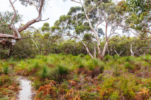 Avustralya 'da İki Körfez Yürüyüş Pisti