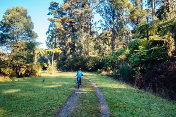 Victoria Avustralya 'da Warburton yakınlarındaki OShannassy Aqueduct Yolu.