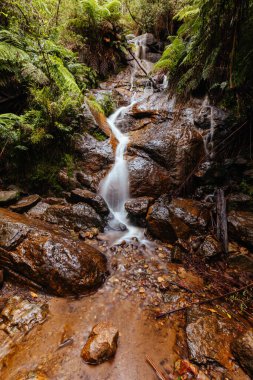 Warburton Avustralya 'da La Şelale
